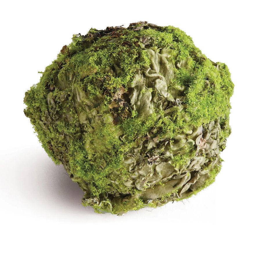 Mossy Lichen Orb 4&quot;
