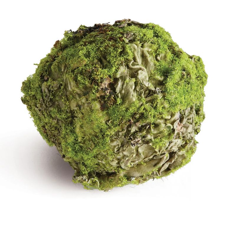 Mossy Lichen Orb 4"