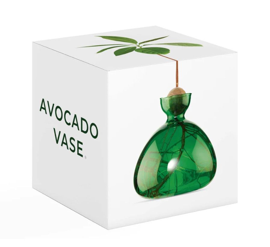 Avocado Vase Emerald Green
