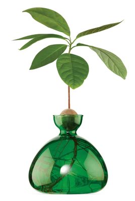 Avocado Vase Emerald Green