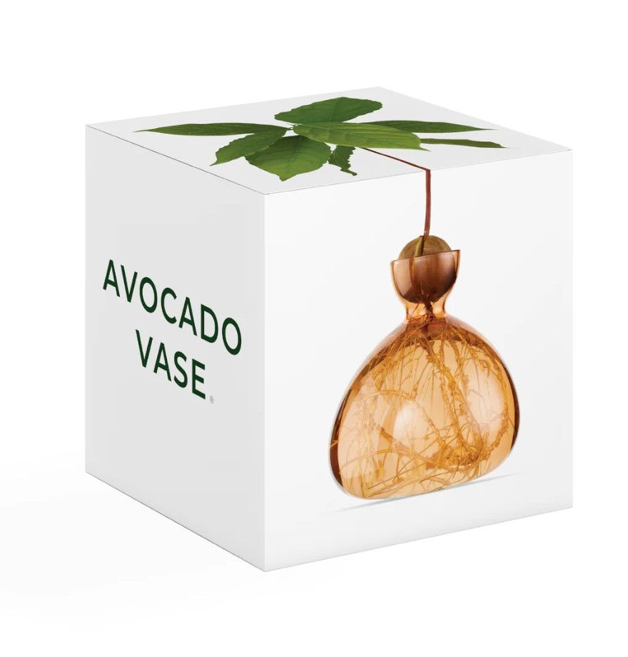 Avocado Vase Sweet Apricot