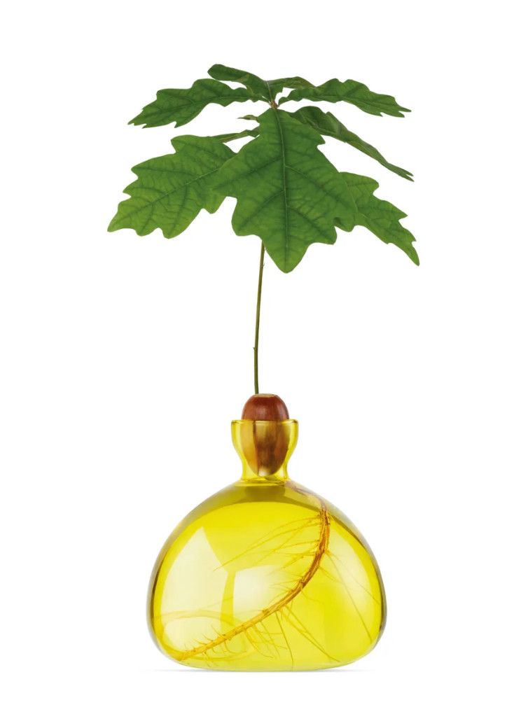 Acorn Vase Sunlight Yellow