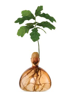Acorn Vase Sweet Apricot