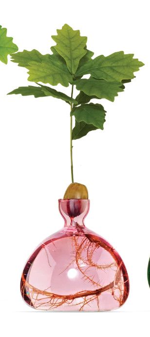 Acorn Vase Rose Pink