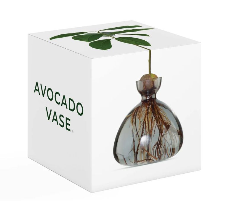 Avocado Vase Smoke Grey