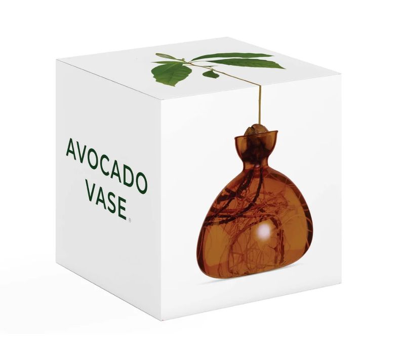 Avocado Vase Russet Brown