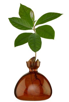 Avocado Vase Russet Brown
