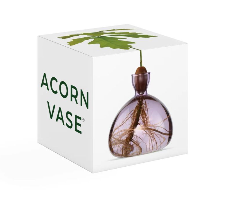 Acorn Vase Spring Lilac