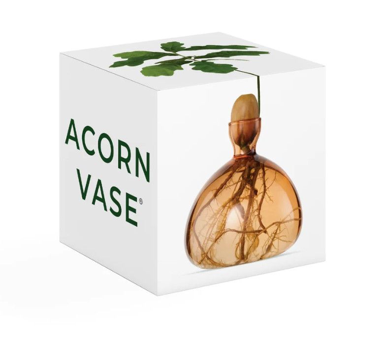 Acorn Vase Sweet Apricot