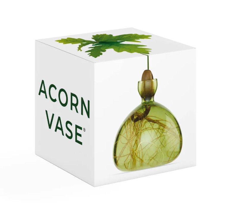 Acorn Vase Grass Green