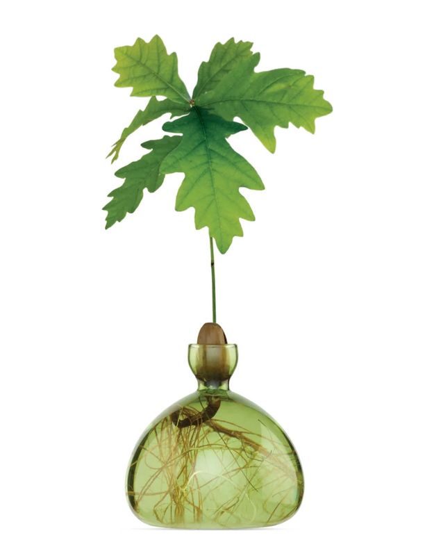 Acorn Vase Grass Green