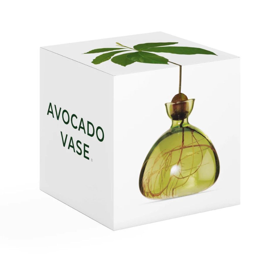Avocado Vase Grass Green