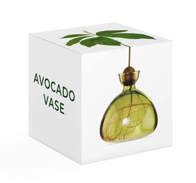 Avocado Vase Grass Green