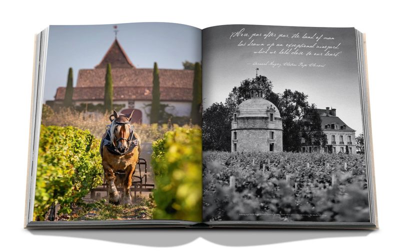 Wine &amp; Travel France