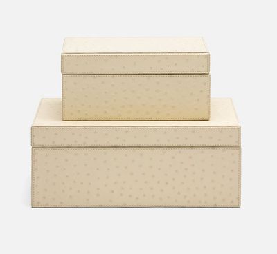 Zsa Zsa Box | Cream Ostrich | Large