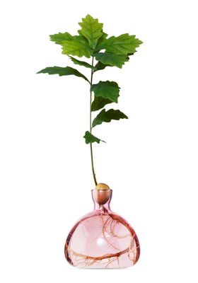 Acorn Vase Rose Pink