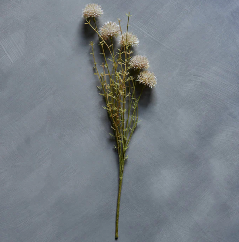Malaleuca Cream Stem