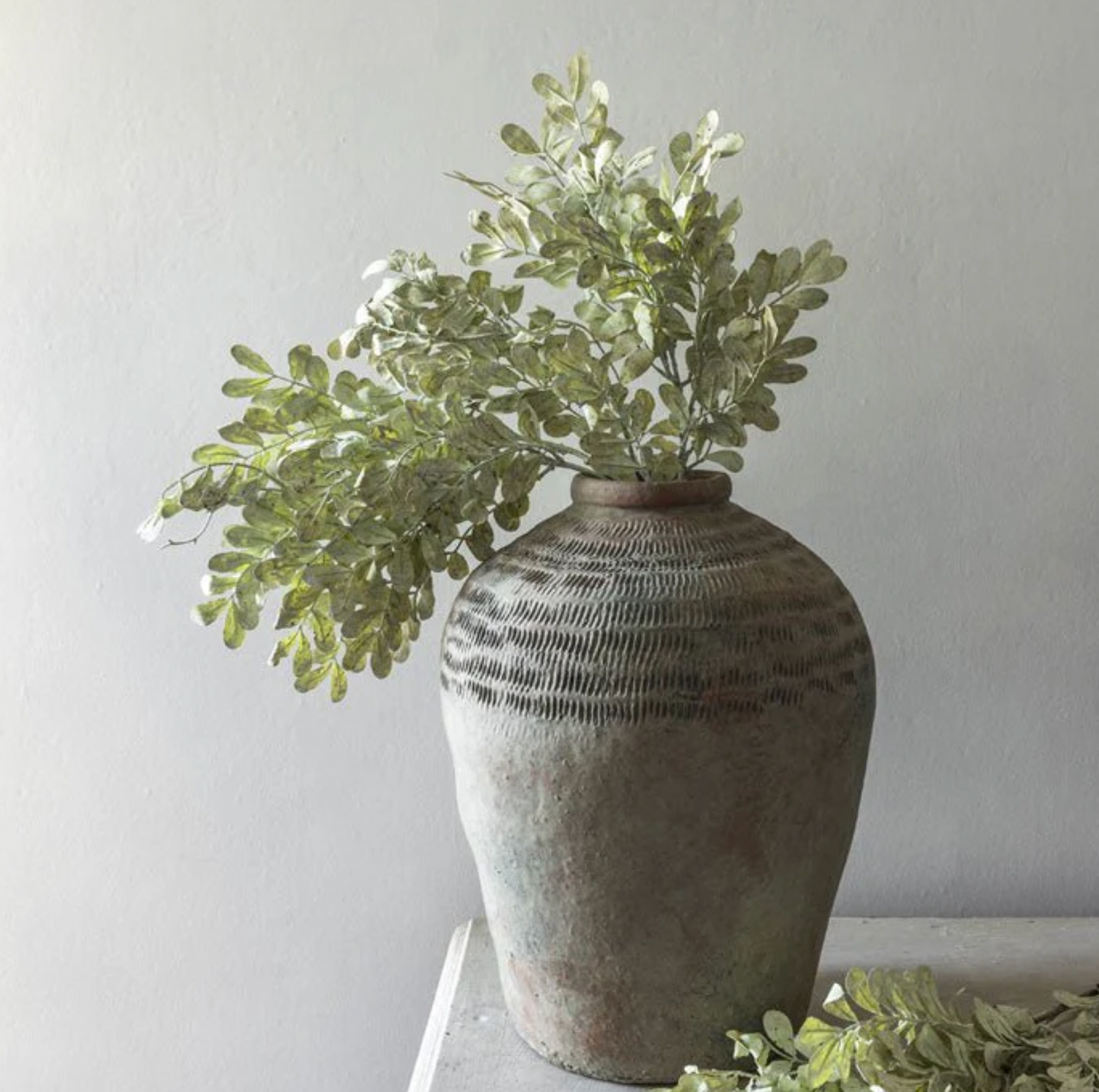 Eucalyptus Cream Stem
