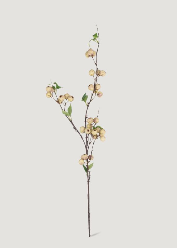 Hawthorne Berry Branch | Cream