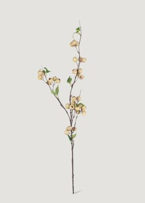 Hawthorne Berry Branch | Cream