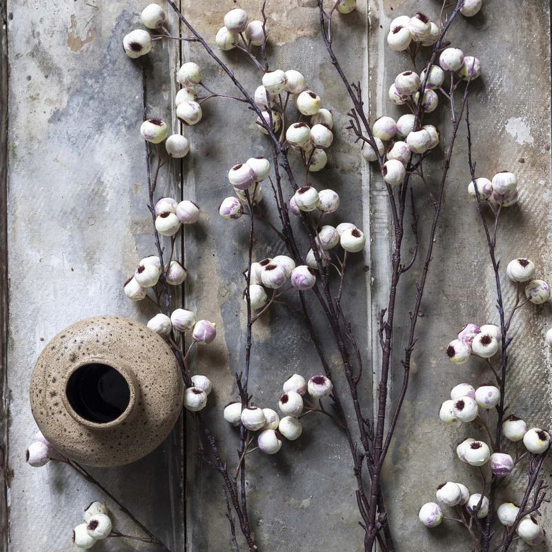 Hawthorne Berry Branch | Cream