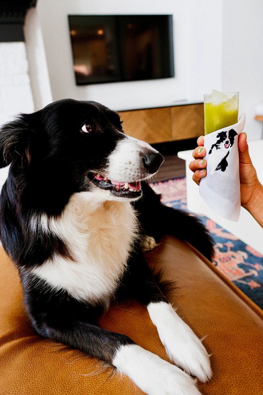 Border Collie Linen Cocktail Napkins | Set of 4