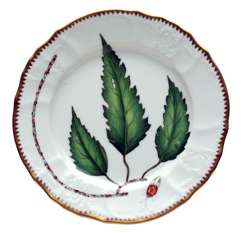 Green Leaf Salad Plate