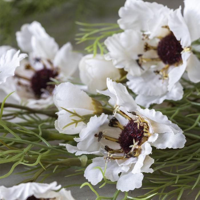 Cosmos Stem | Cream