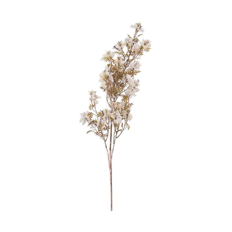 Prunus Blossom | Cream