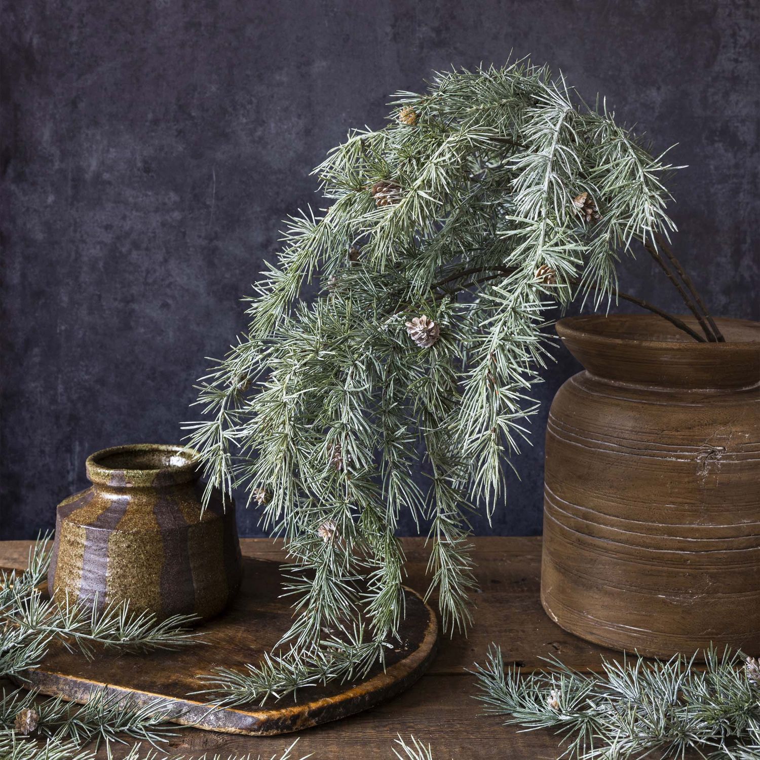 Cedar &amp; Pinecone Branch