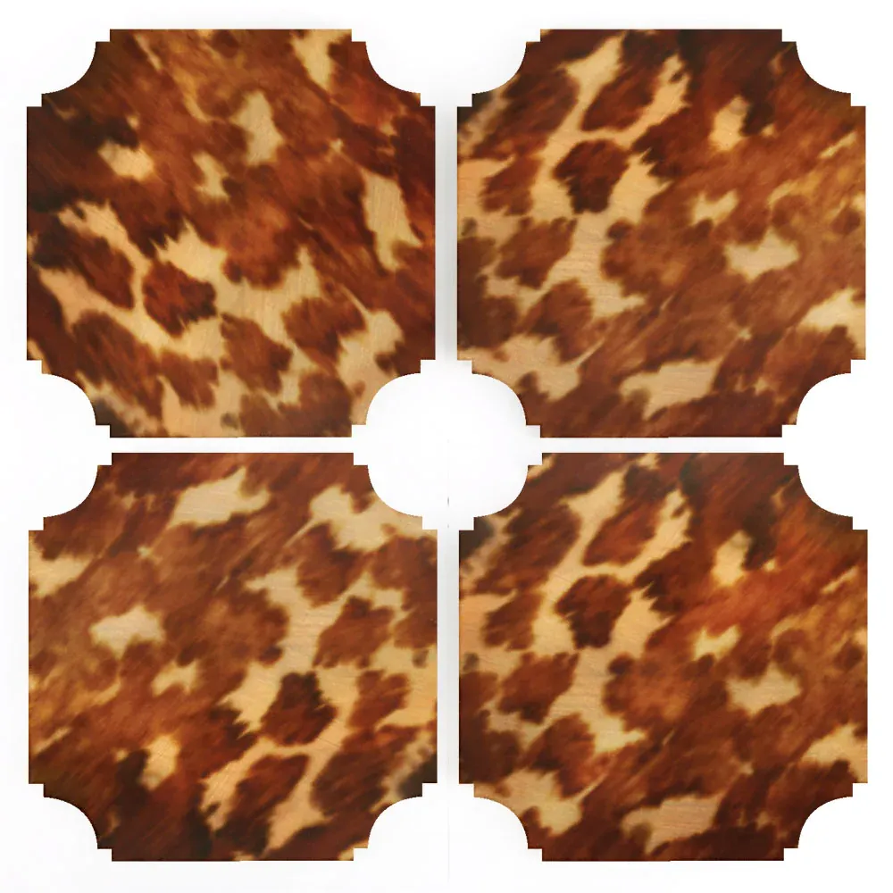 Tortoise Coasters | Set of 4