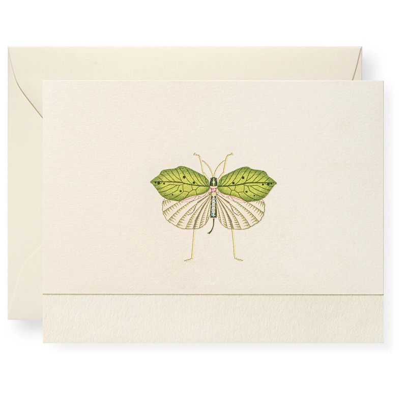 Fool's Bug Individual Note Card