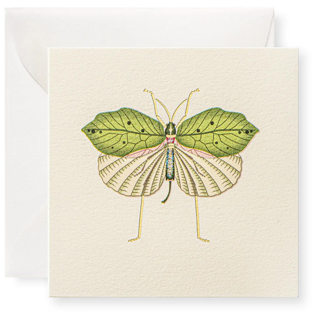 Fool&#39;s Bug Individual Gift Enclosure