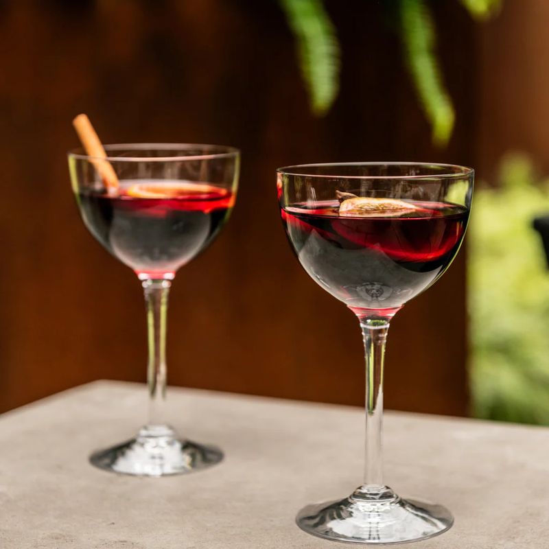 Vintner Nick &amp; Nora Glasses | Set of 2