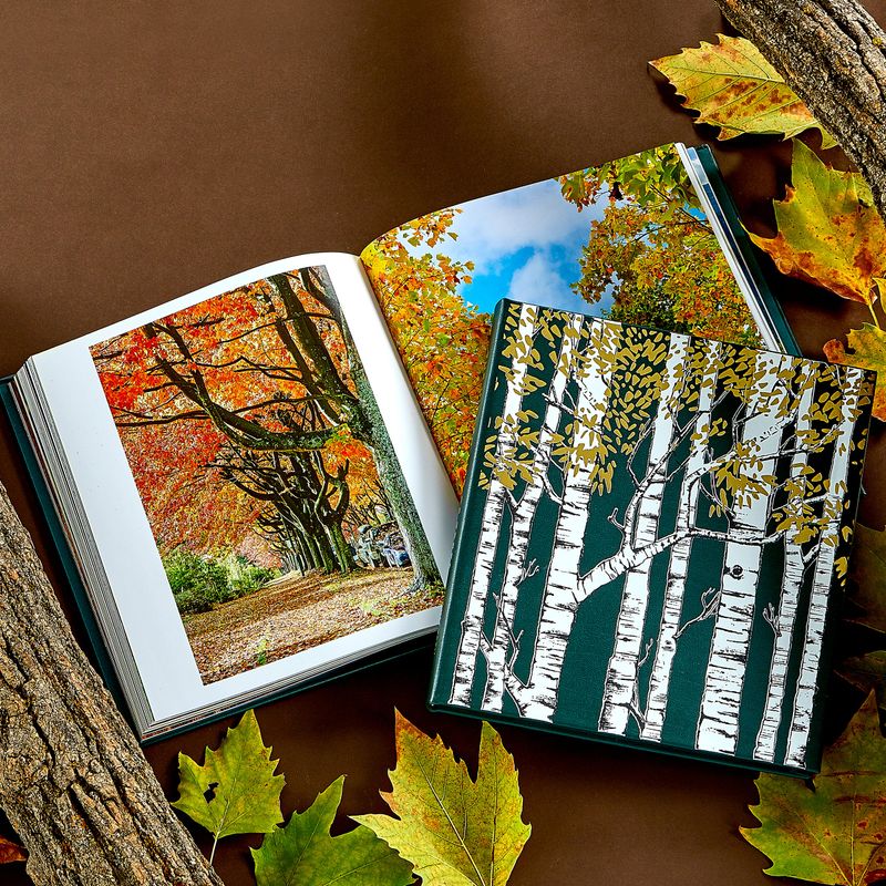 The Hidden Life of Trees Green Bonded Leather