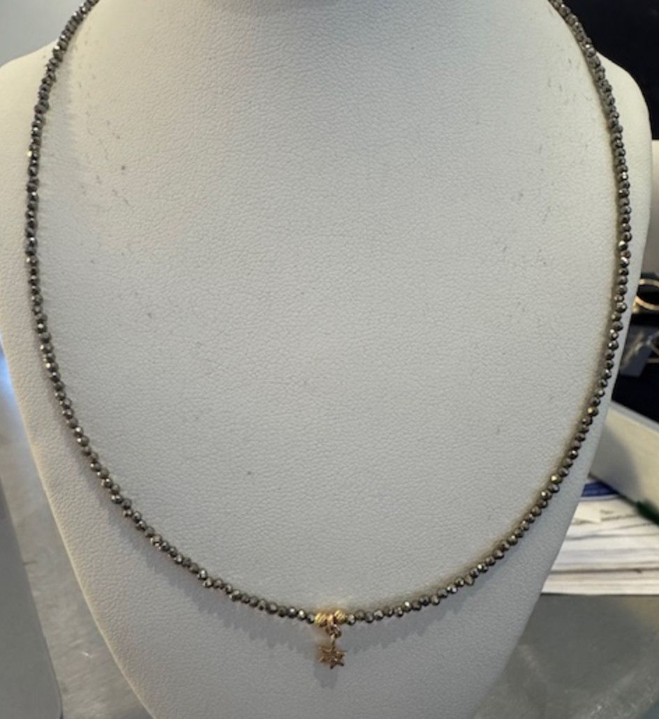 Bella with Gold Star
