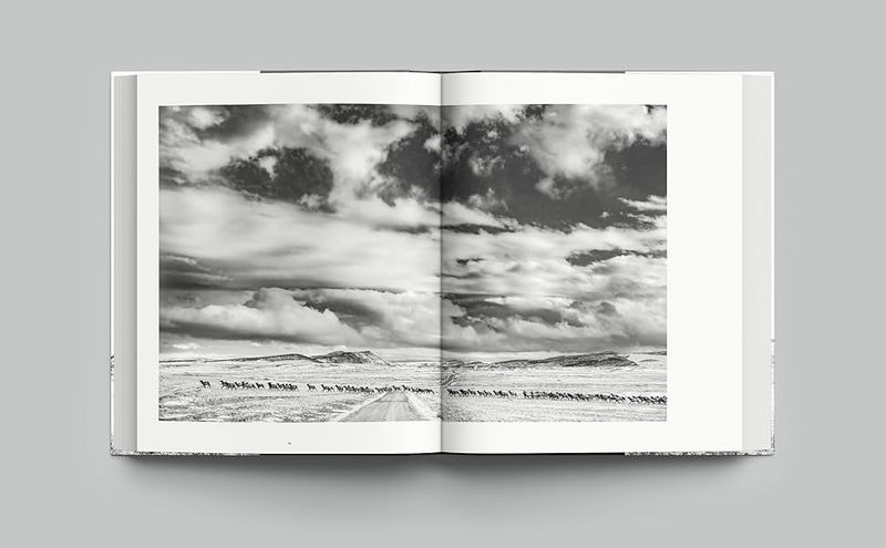 Ranchland | Wagonhound