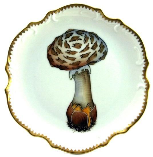 Forest Mushroom Hors D'Oeuvre  Plate #3
