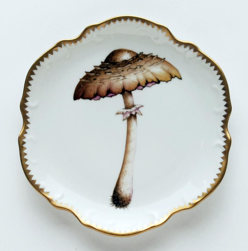 Forest Mushroom  Hors D'Oeuvre Plate #4