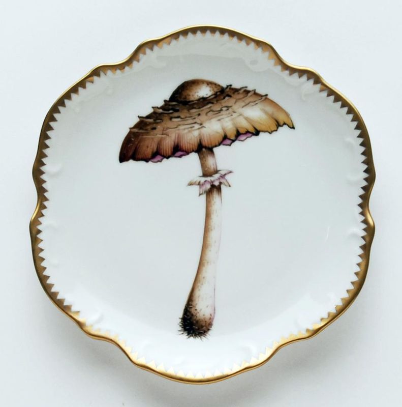 Forest Mushroom  Hors D'Oeuvre Plate #4