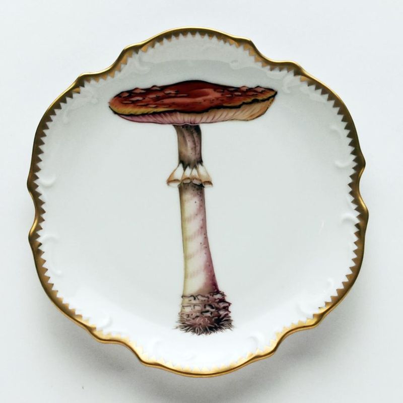Forest Mushroom Hors D'Oeuvre Plate #6