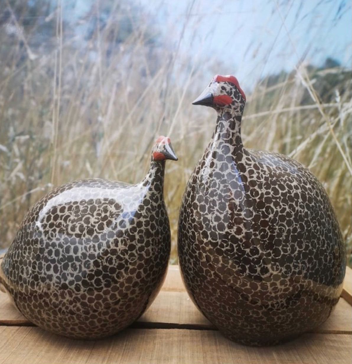 Guinea Fowl | Black Speckled Grey | Medium