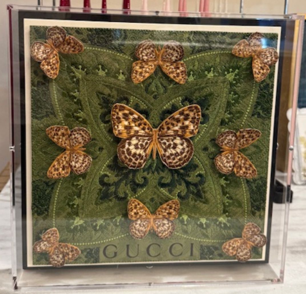 Stephen Wilson | SYMMETRY | 12 x 12