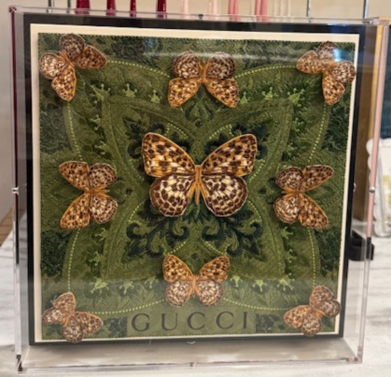 Stephen Wilson | SYMMETRY | 12 x 12