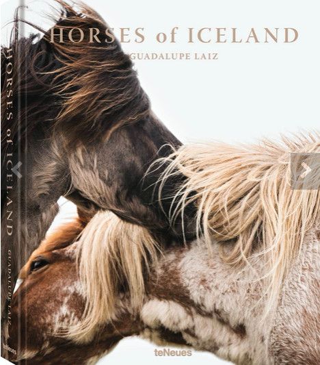 Horses of Iceland