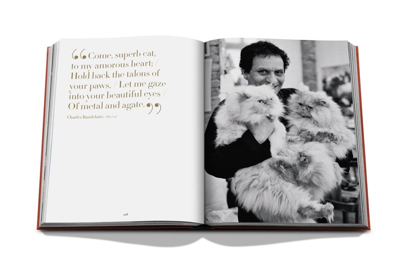 Chic Cats