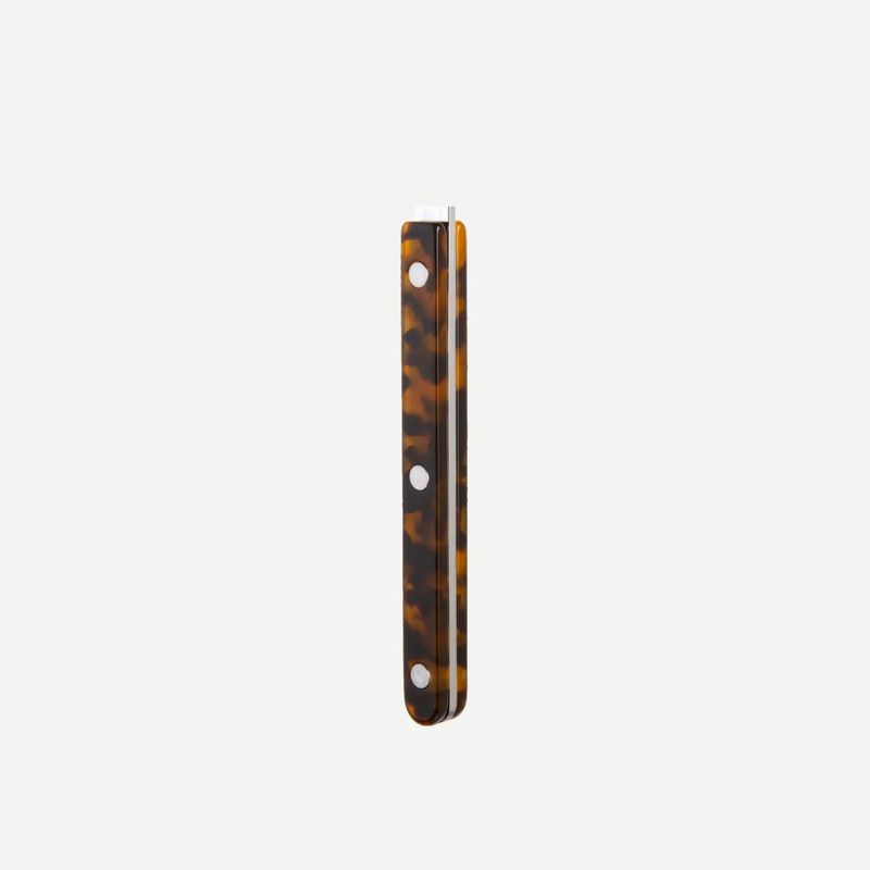 Bistrot Dessert Spoon | Shiny Tortoise