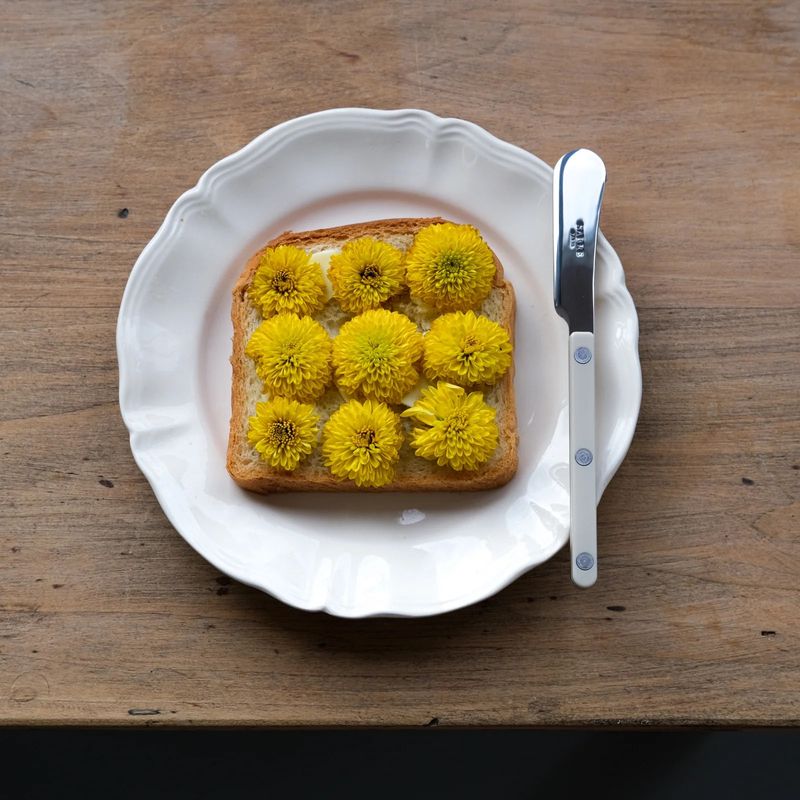 Bistrot Butter Spreader | Shiny Solid Light Kaki