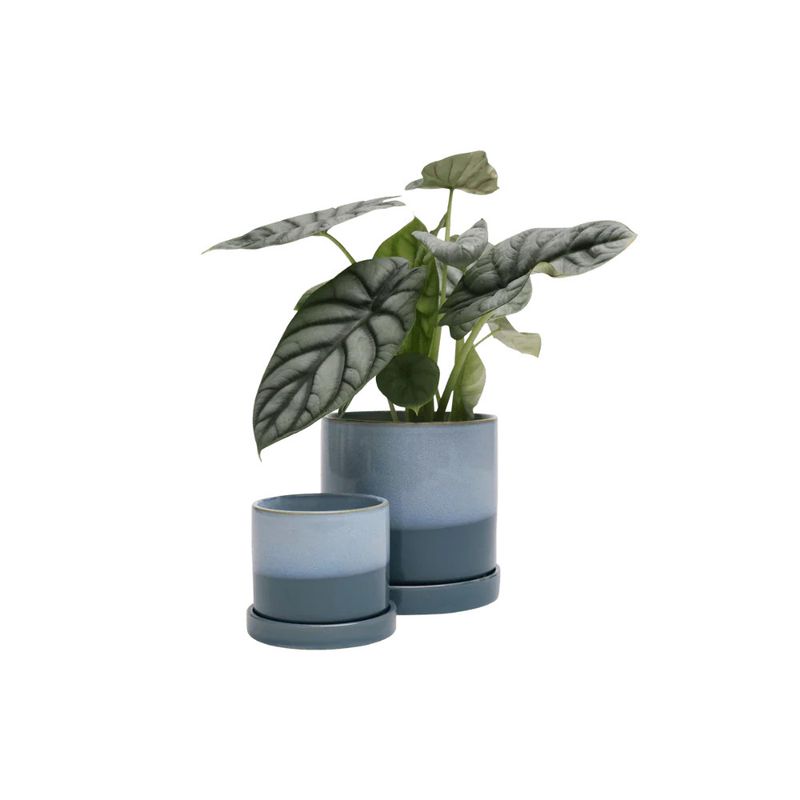 Minute Ceramic Pot & Saucer w Drainage | Blue Aqua 5"