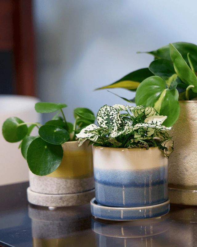 Minute Ceramic Pot & Saucer w Drainage | Blue Layers 5"
